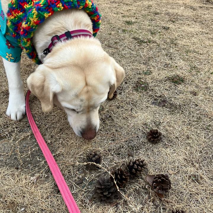 310c1ae4 71be 415e b3b6 08a374c7eebf 1676416229464