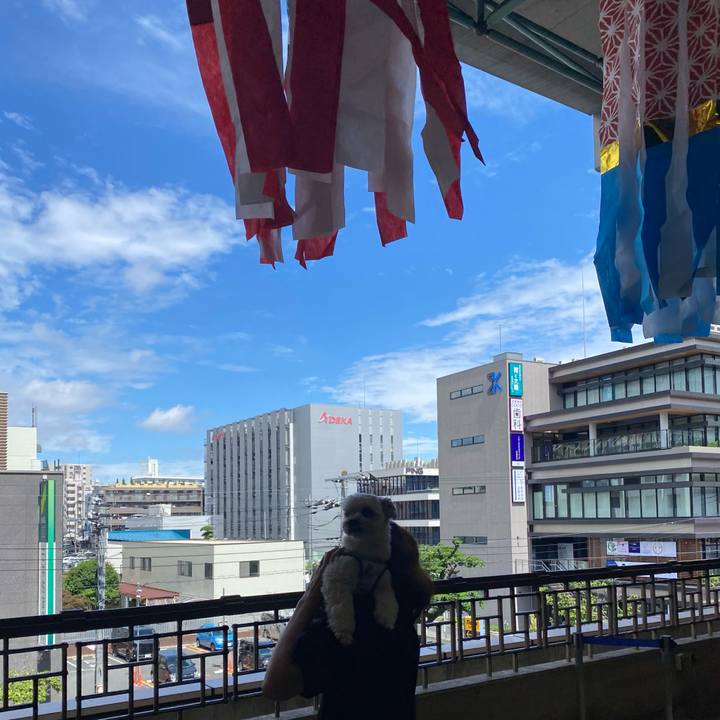 310c26c6 f995 4514 be85 95527bb02050 1749966358242