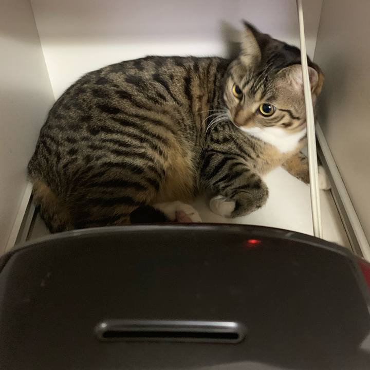 310c2eb1 7869 47a0 9d23 44b6ada0f432 1549433316420