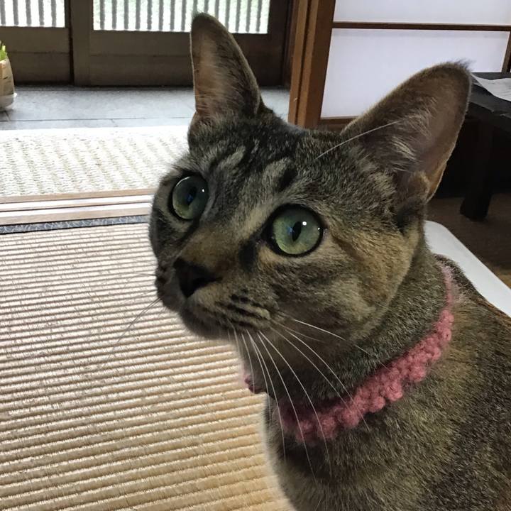 310c3659 2de4 44bf a753 5c2a25c9c640 1594094307115