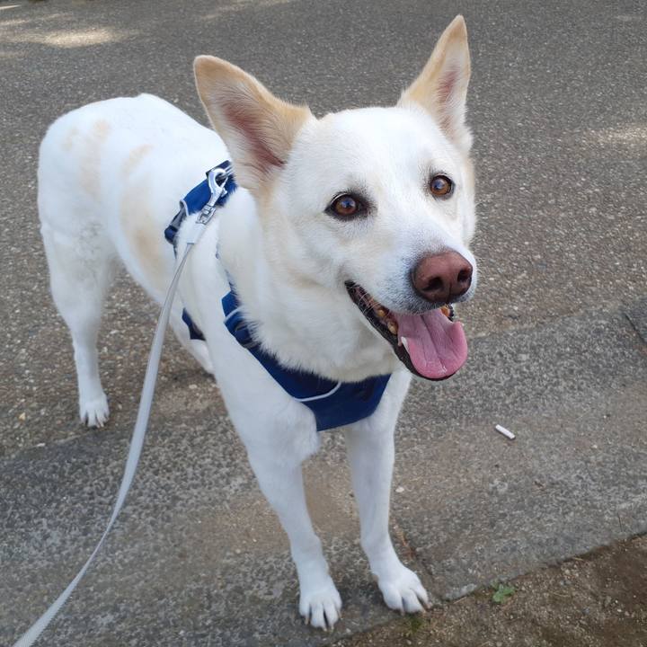 310cf7b8 c07c 4c7b 8171 fc5a13df7331 1682750266655