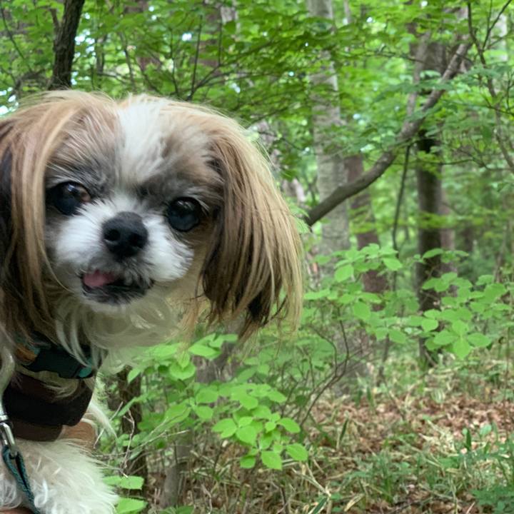 310cf7d7 98e7 48f3 aec0 79234de0055e 1749643631736