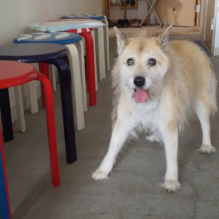 310cfc38 d907 4d5e ac29 4e7639e956c5 1593911782511