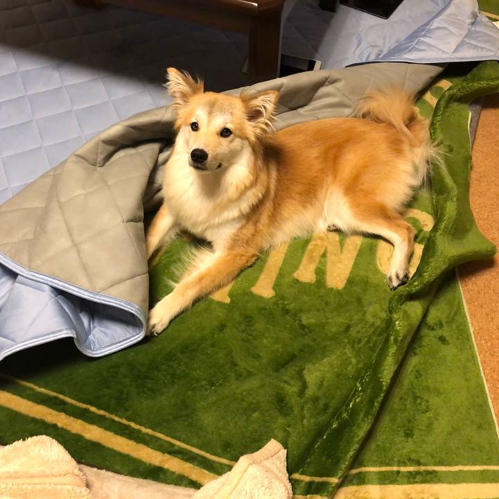 310d212b 7ce9 431d a7f2 3d1f1fbc78d1 1593514361254