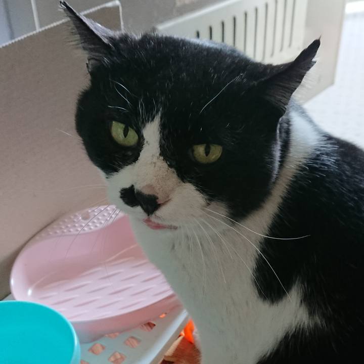 310d2f02 217b 4e74 ab3d 0bfb3e030371 1554507014297