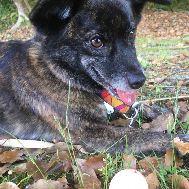 310d3335 a196 49b1 abc7 79a9e0083e6a 1527686723131