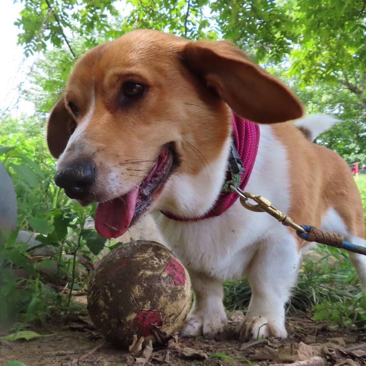 310d8cde 09b4 4228 b9e7 bbb622b3dd85 1624492978009