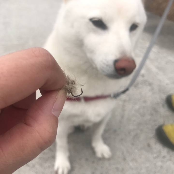 310d97ac 8368 4ece bd0f 25d1c2058131 1512180343604