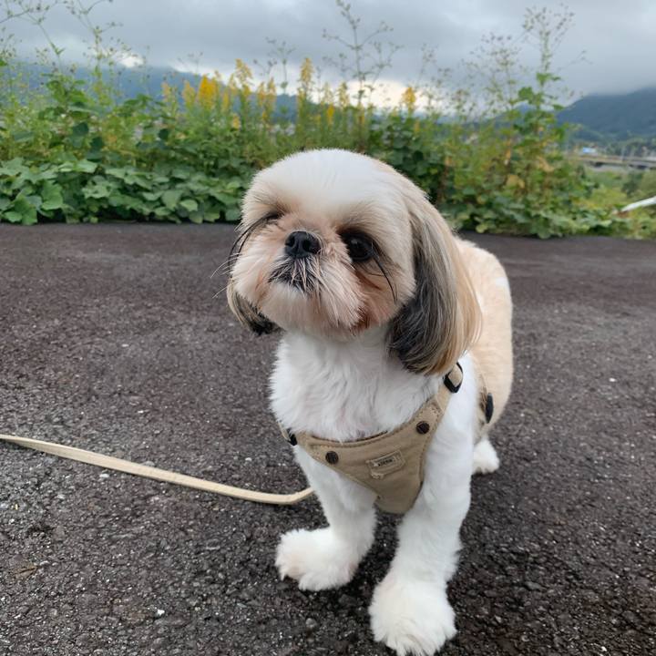 310dad06 8a76 4092 a126 ca1f9e40d881 1634461325367