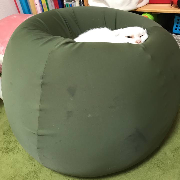 310df293 2d4e 4dba 8c7d 8374232b7627 1517550419788