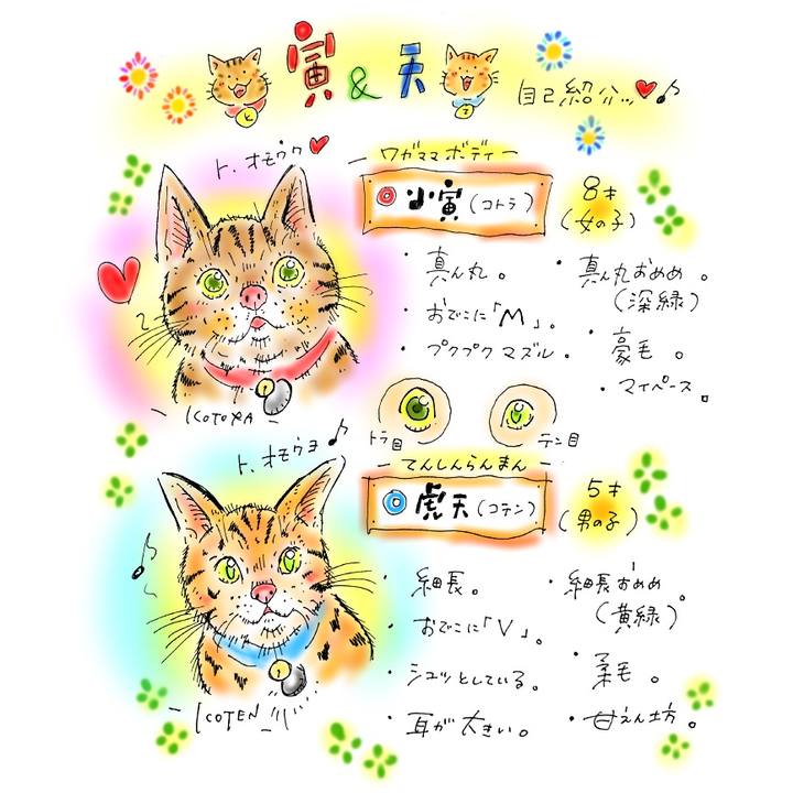 310df32d d63b 4de0 b7e5 e1131a5aaf71 1589227754345