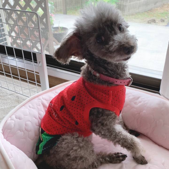 310e276b bba0 49aa be40 5db3d5b7a47c 1656801750822