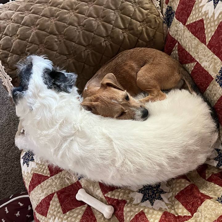 310e33bb 26e3 4bb0 a02c 03d88e9ba2c5 1663537835360