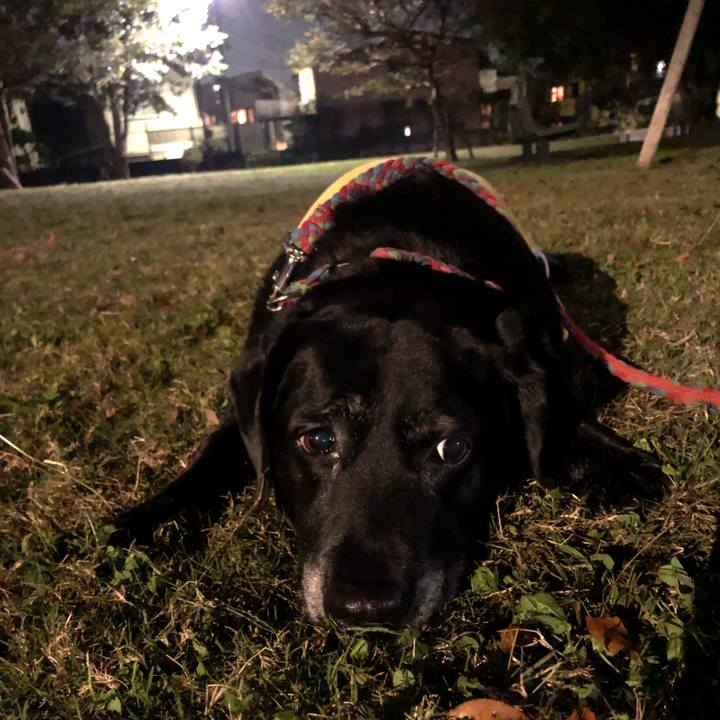 310e4b67 eeeb 4e49 83ef 3cc85889d74a 1572528410657