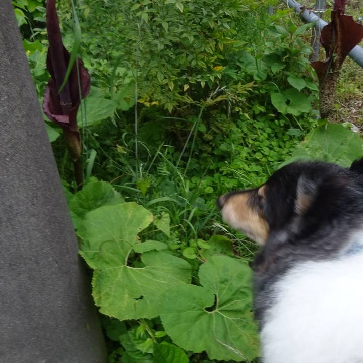 310e4ba1 a468 4b04 88c2 6c87de854f46 1590066970191