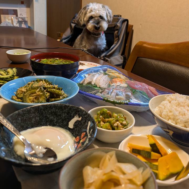 310e67d2 9727 472b 9270 2fe9ff07c9da 1754404041607