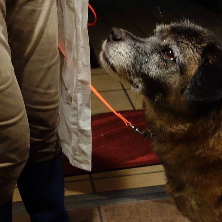 310eba25 dcba 4810 a76d 9202f4dce0cc 1509273045687