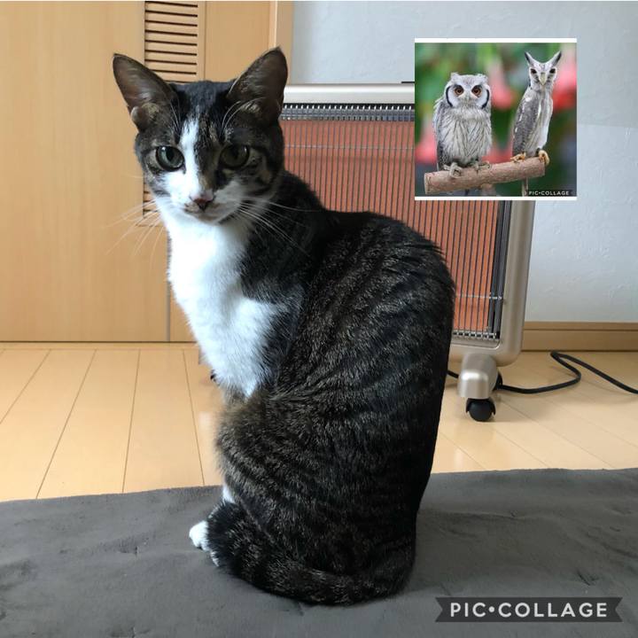 310ebd2f cd52 4f9a 977b fb7ab05fb394 1607528598463