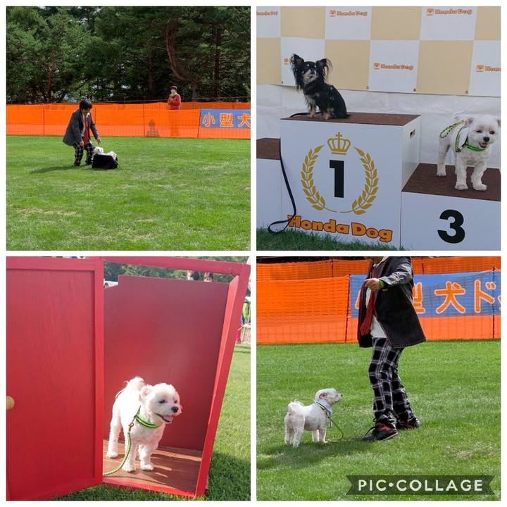 310ebf6f 8328 418d b9b8 c46df79f514f 1600611409015