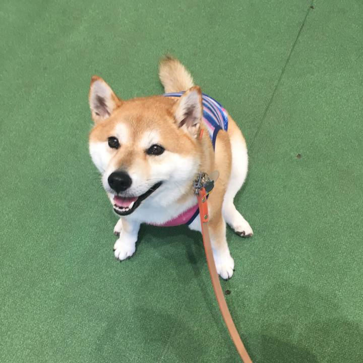 310ec217 f5af 4412 bf31 7e8a422511c4 1566197069421