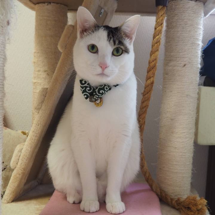 310f0bc4 81df 4b17 a1ca ffbc5805be0e 1523179632830