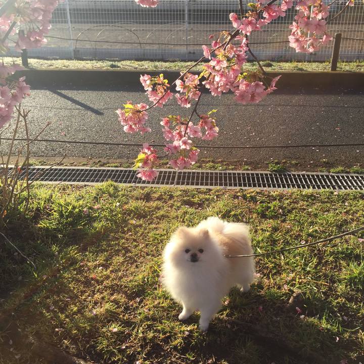 310f15db 7ccb 46ff ad3e fc17d2e11e36 1583192929897