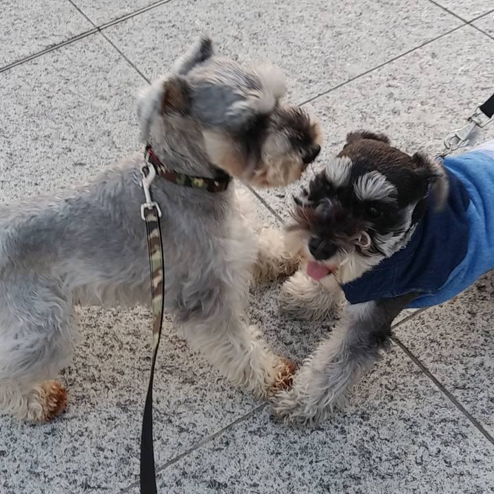 310f1836 762b 42db 8191 32efad2cdf6b 1547365393506