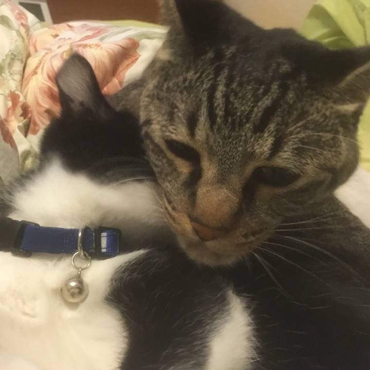 310f7349 5f47 4f9d 8a41 3d5ba59c5a4d 1508921172494