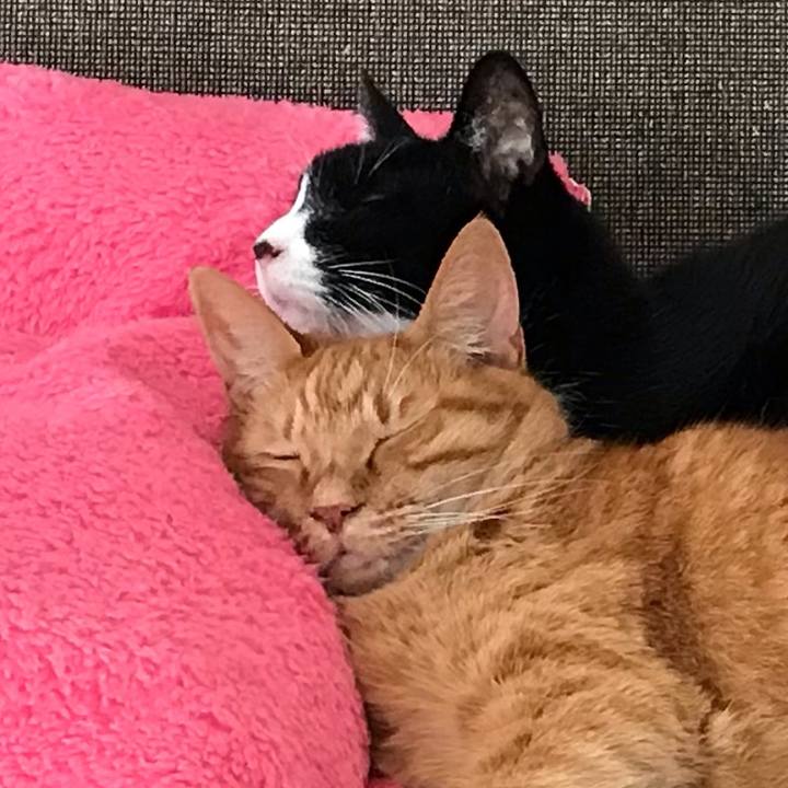 310f7917 ab6f 4752 afc5 bcfcc51db463 1575959415134