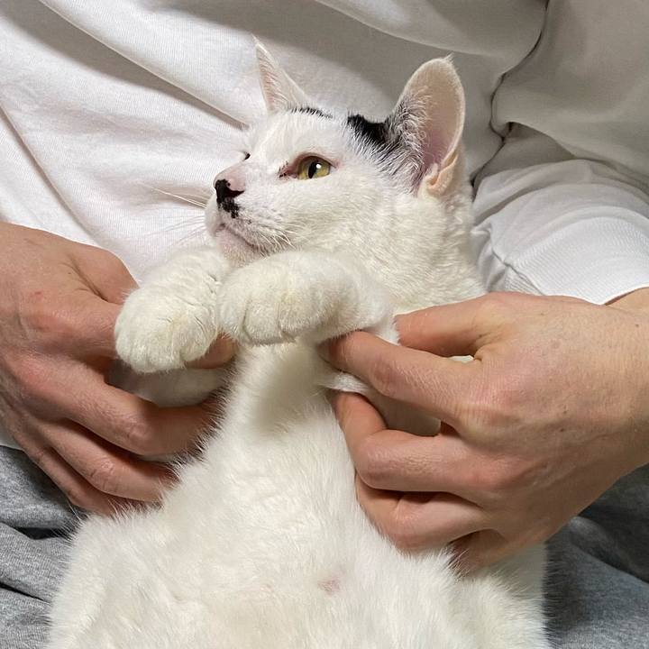 310f7b84 fe08 4e8a 9c56 2d6ea68bec5e 1578654849941