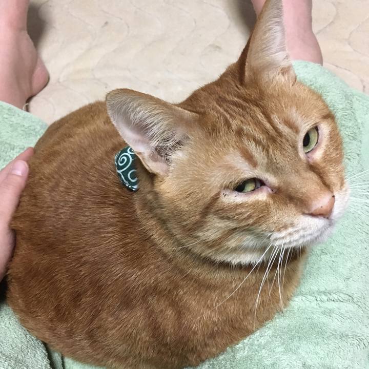 310fa26f f113 47e0 9e89 896ca21542c7 1550568184020