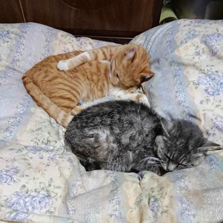 310fa927 1268 4be2 8f2d 210b1680b7fd 1573302732817