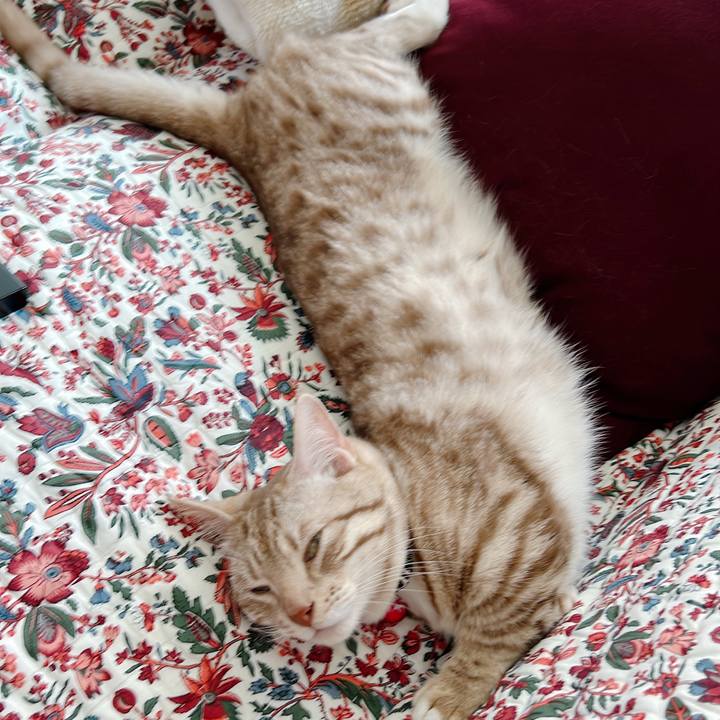 310fb3fd 3ab6 403d b7da 36d997f30f46 1650685478244