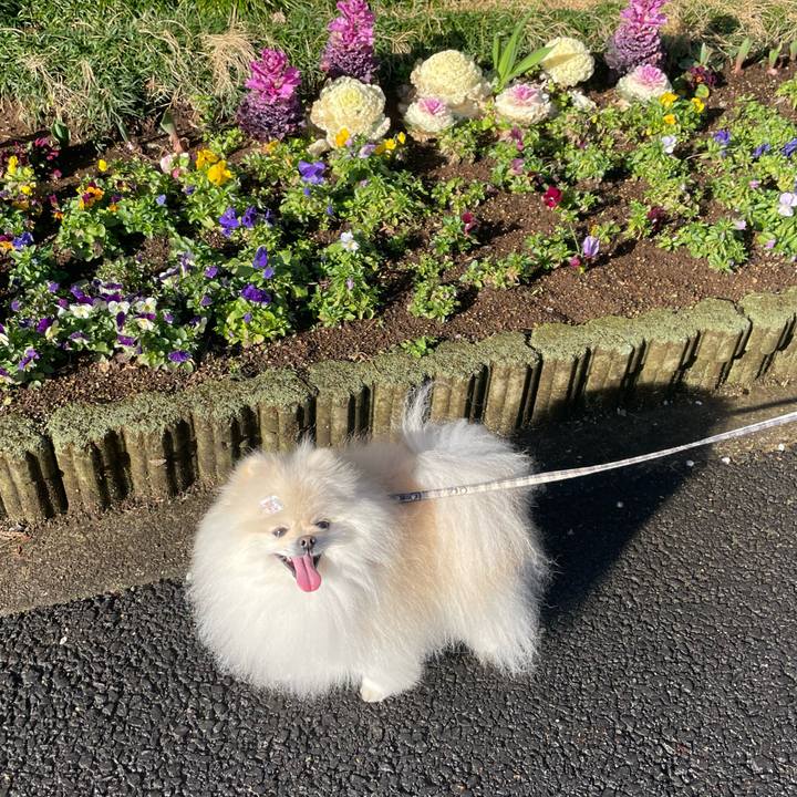 310fd3ab 5e25 421c 9a2a af52daf9a849 1647644650256