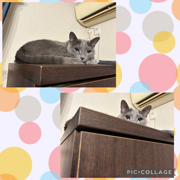 310fd6d8 135c 4cc7 a19b 64da904ea07f 1677925458173