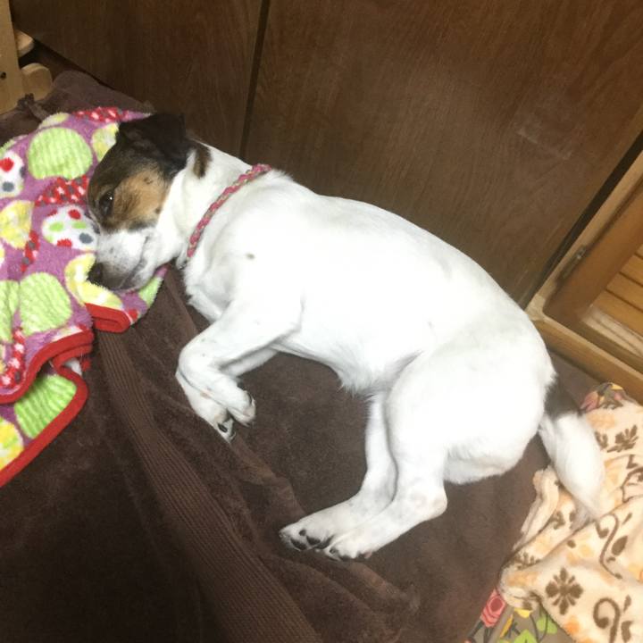 310ff4e9 0565 4408 9701 cfafbfcfc555 1528631004606