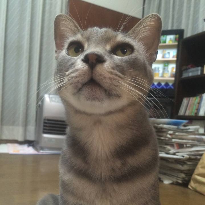 311000bd 153e 4dd1 8ff0 878e036451da 1533137743115