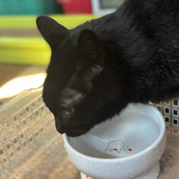 31108063 b95d 4d00 9724 1b97210a2341 1710453530111