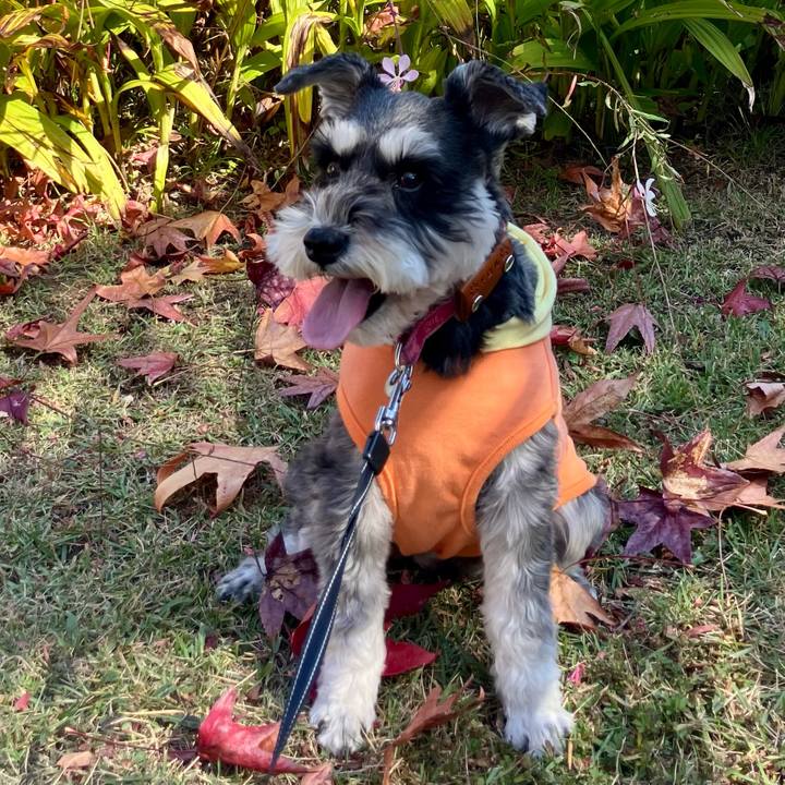 3110856c a030 4001 a113 c43f89a87192 1763293649440