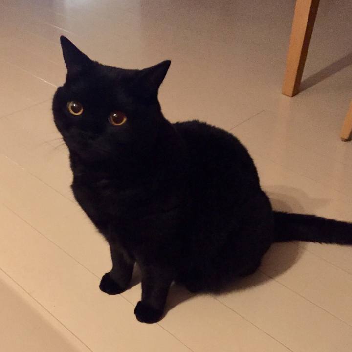 3110ad81 953b 4c84 84ac 1144ad27d0cf 1568893665020