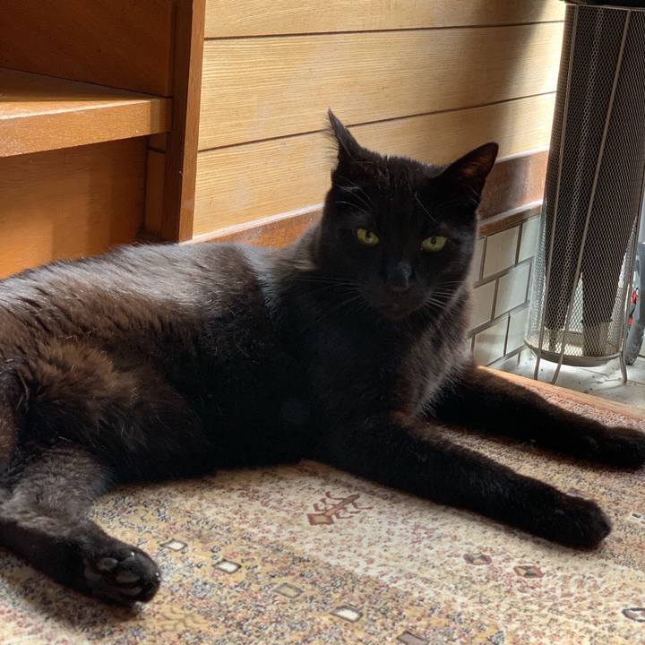 3110b522 d383 4b8f 8585 c02672e88585 1559524687910