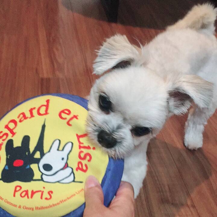 3110bd4d f52a 4de5 bfb4 e0af7e6a73b6 1537783828409