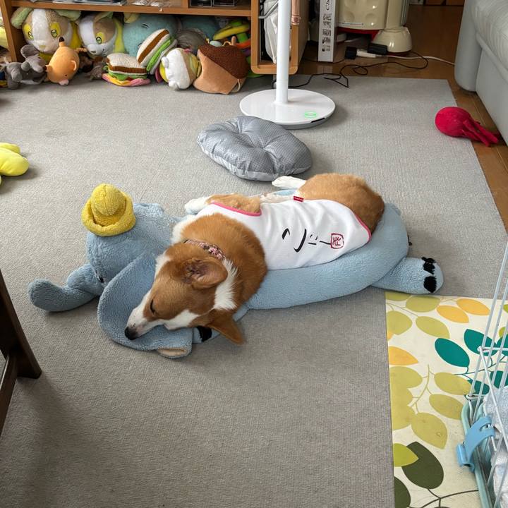 3110fd03 3e0a 4b8f 98b7 34cac83aacaa 1759302466099