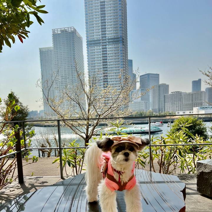 311109f7 455e 4dc2 bd35 f6283cf2a781 1648195136227