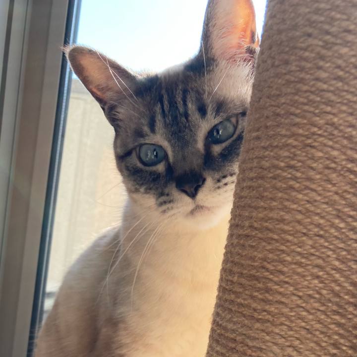 311131ee 9174 432e 8253 babe4a8c89f9 1683257153544