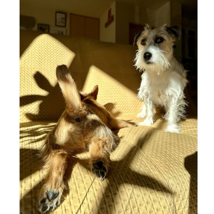 31114598 0a8f 4ec7 9446 a932f582d908 1706267292616