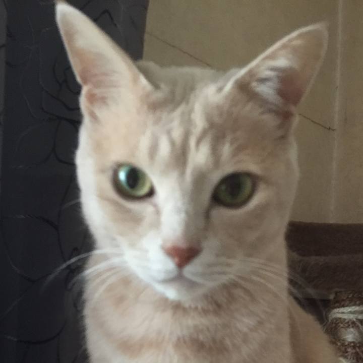 3111599f f42a 4119 88ed 0698caf64a96 1521518832114