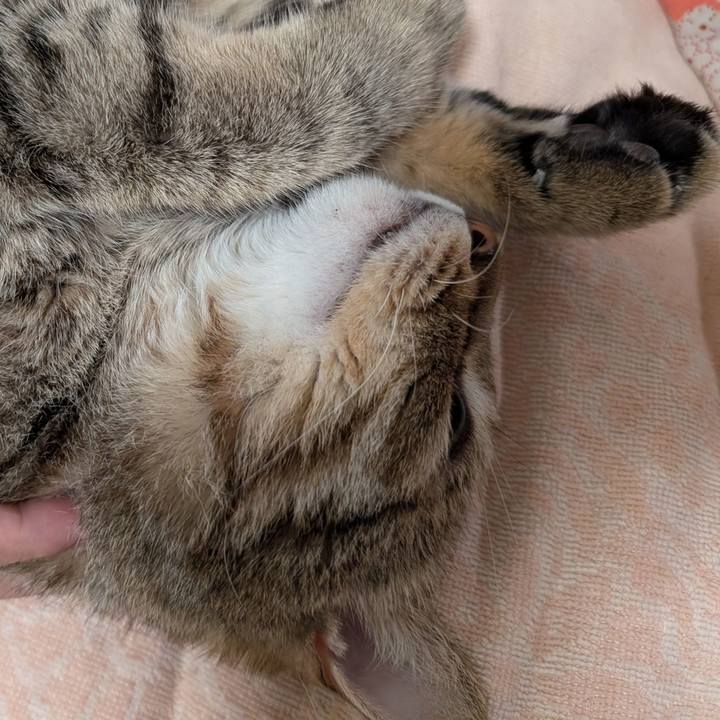 31115e06 1965 47b1 8725 8e3f4dd9b26d 1760128544888