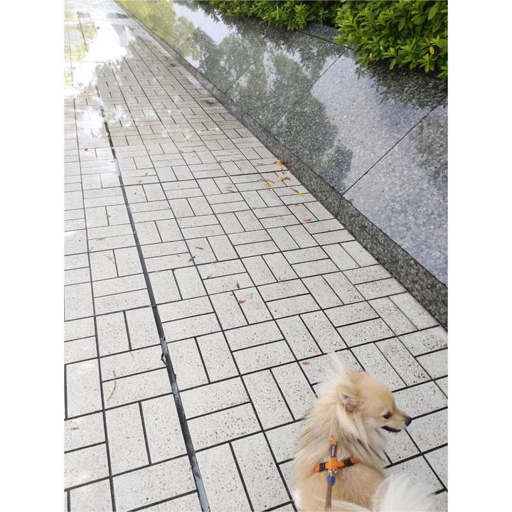 31119a1d 7742 4a2c a434 013a19cdbed7 1752717635504