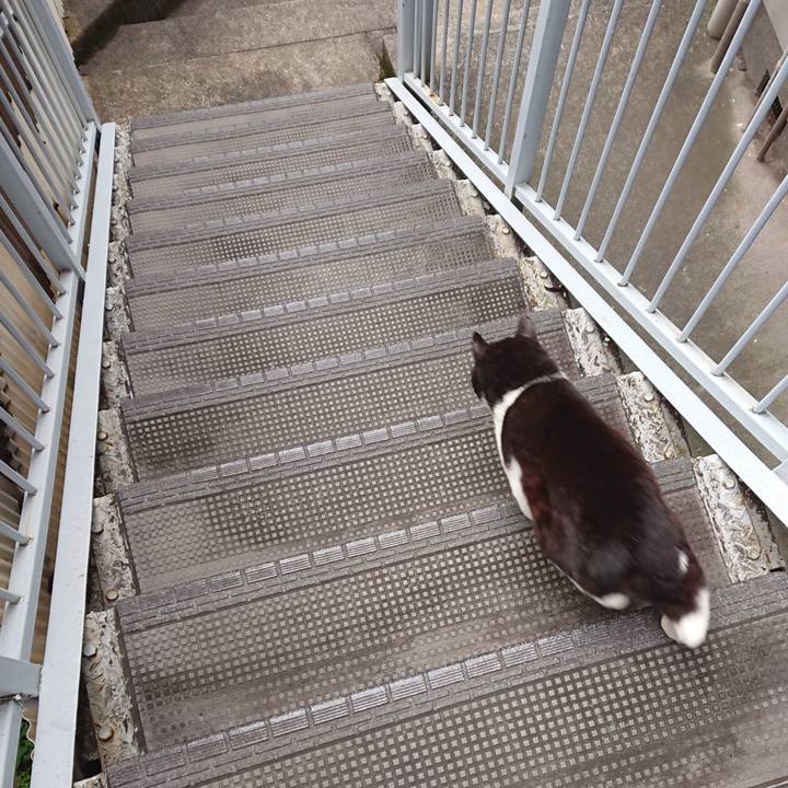 3111b2b7 f434 4576 9aa5 8ed49fda46a6 1653102032011